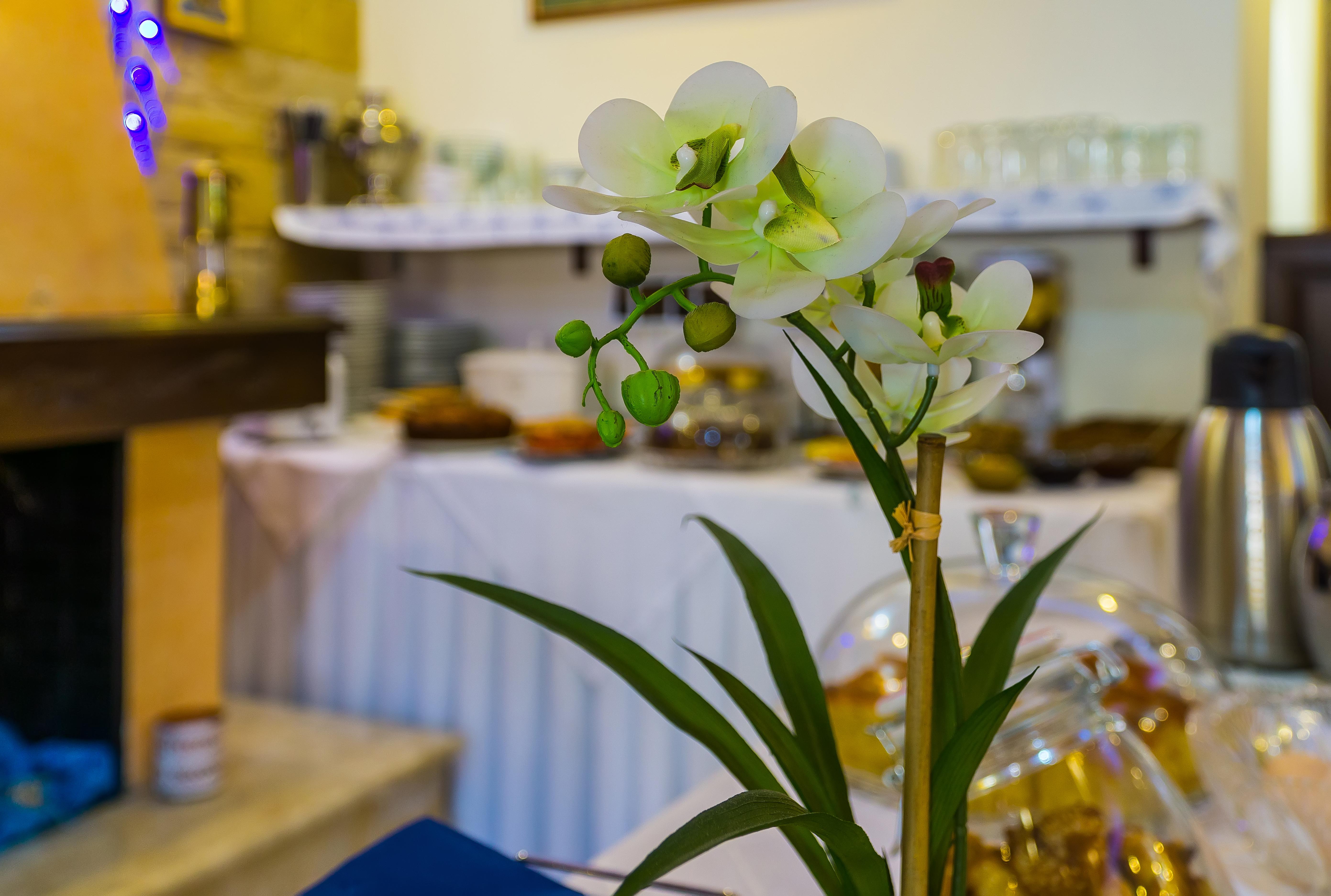 "Epavlis Boutique Galaxidi" Hotel ภายนอก รูปภาพ