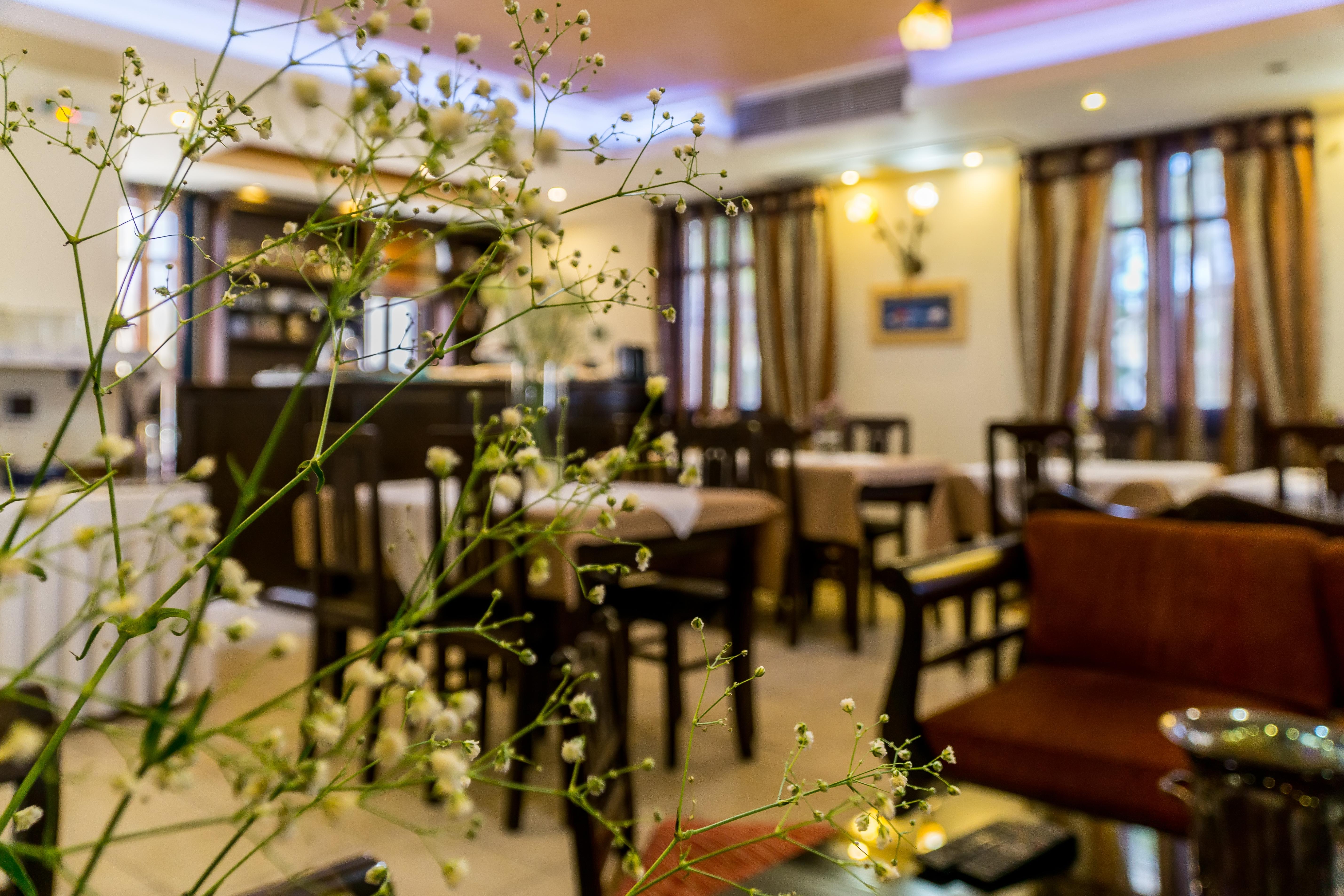 "Epavlis Boutique Galaxidi" Hotel ภายนอก รูปภาพ